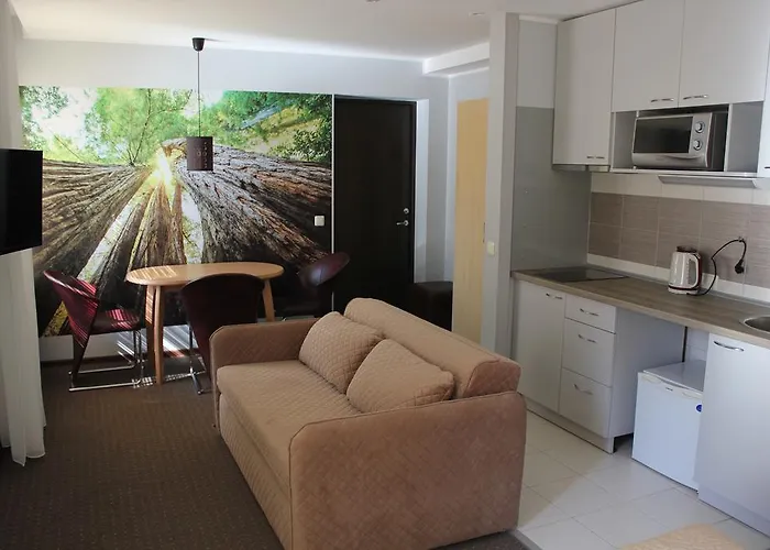 Konukevi Broliu Druskininkai